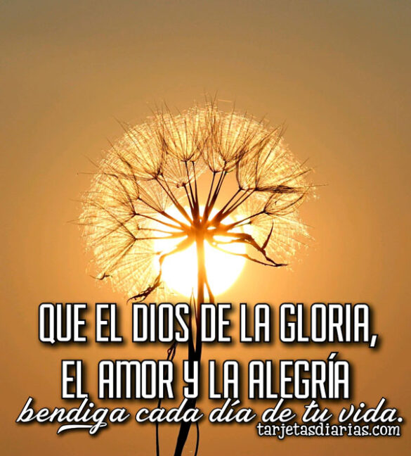 QUE EL DIOS DE LA GLORIA, EL AMOR Y LA ALEGRÍA BENDIGA CADA DÍA DE TU VIDA