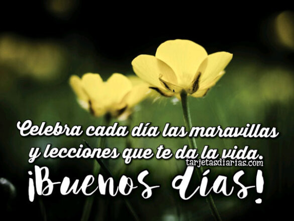 CELEBRA CADA DÍA LAS MARAVILLAS Y LECCIONES QUE TE DA LA VIDA. ¡BUENOS DÍAS!