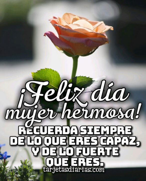 ¡FELIZ DÍA MUJER HERMOSA! RECUERDA SIEMPRE DE LO QUE ERES CAPAZ Y LO FUERTE QUE ERES