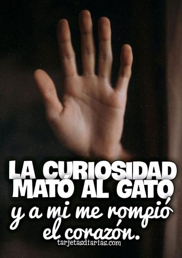LA CURIOSIDAD MATÓ AL GATO Y A MÍ ME ROMPIÓ EL CORAZÓN