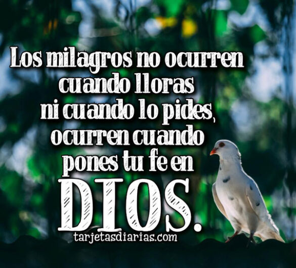 LOS MILAGROS OCURREN CUANDO PONES TU FE EN DIOS
