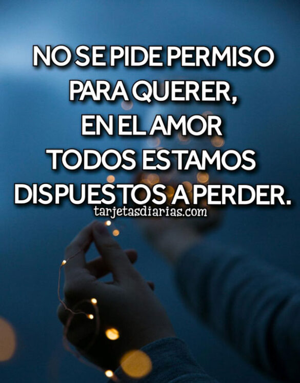 NO SE PIDE PERMISO PARA QUERER, EN EL AMOR TODOS ESTAMOS DISPUESTOS A PERDER