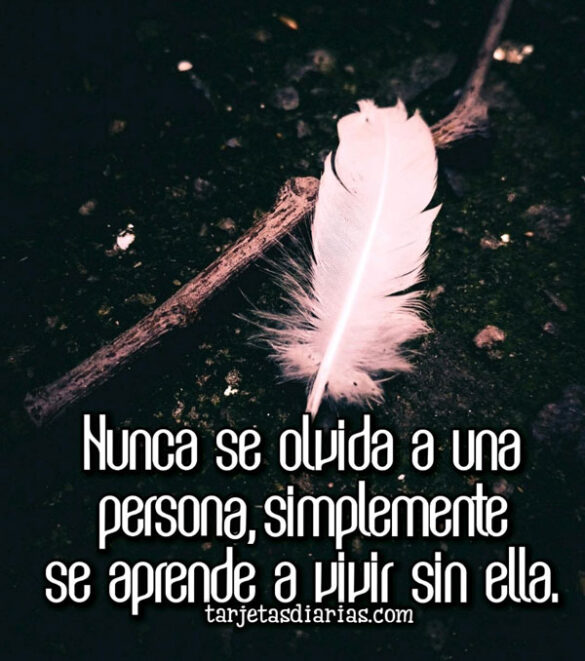 NUNCA SE OLVIDA A UNA PERSONA, SIMPLEMENTE SE APRENDE A VIVIR SIN ELLA
