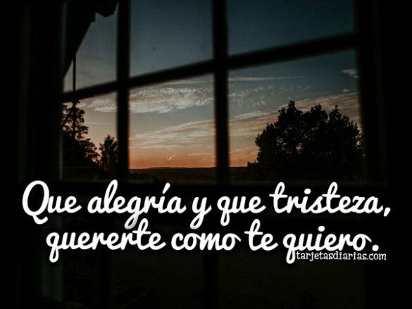 QUE ALEGRÍA Y QUE TRISTEZA QUERERTE COMO TE QUIERO
