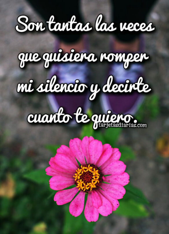 SON TANTAS LAS VECES QUE QUISIERA ROMPER MI SILENCIO Y DECIRTE CUANTO TE QUIERO