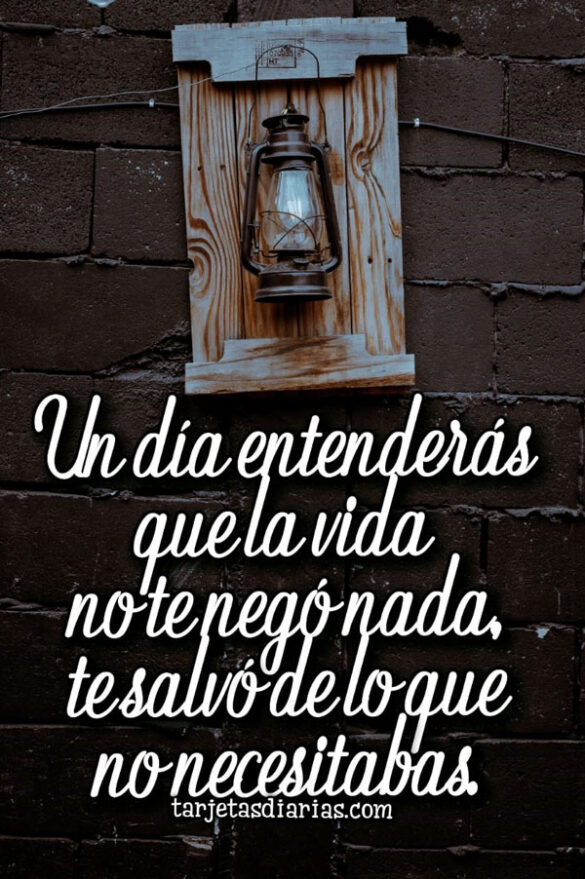 UN DÍA ENTENDERÁS QUE LA VIDA NO TE NEGÓ NADA, TE SALVÓ DE LO QUE NO NECESITABAS