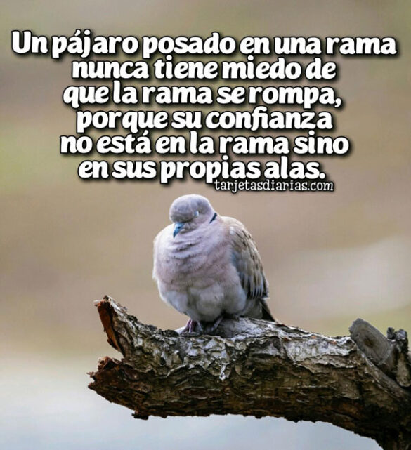UN PÁJARO POSADO EN UNA RAMA NUNCA TIENE MIEDO DE QUE LA RAMA SE ROMPA, SU CONFIANZA ESTÁ EN SUS ALAS