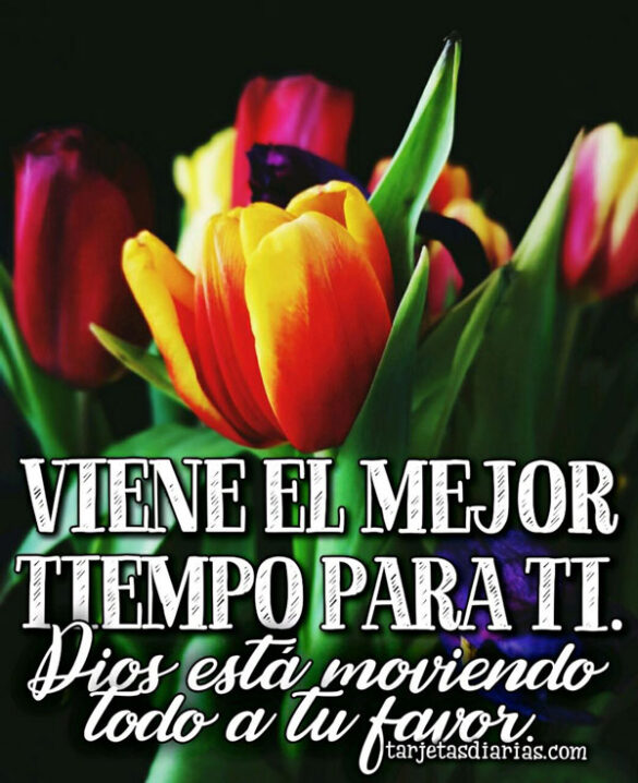 VIENE EL MEJOR TIEMPO PARA TI. DIOS ESTÁ MOVIENDO TODO A TU FAVOR