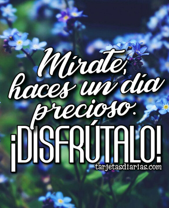 MÍRATE, HACES UN DÍA PRECIOSO ¡DISFRÚTALO!
