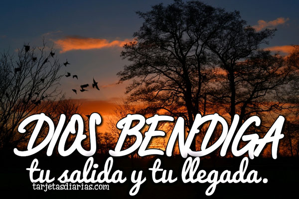DIOS BENDIGA TU SALIDA Y TU LLEGADA - Tarjetas Diarias