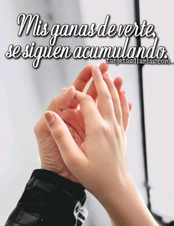 MIS GANAS DE VERTE, SE SIGUEN ACUMULANDO