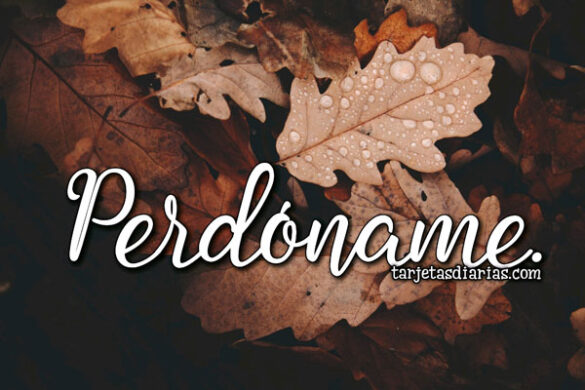 PERDÓNAME