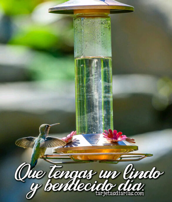 QUE TENGAS UN LINDO Y BENDECIDO DÍA