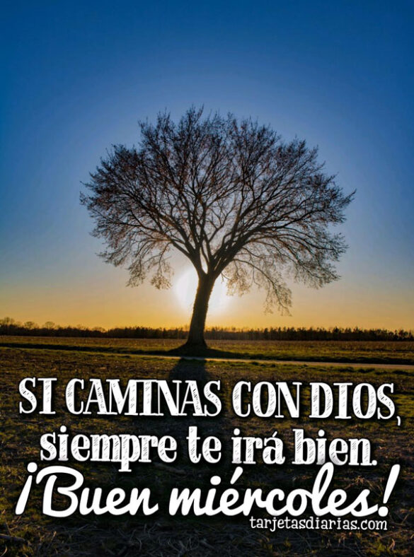 SI CAMINAS CON DIOS, SIEMPRE TE IRÁ BIEN ¡BUEN MIÉRCOLES!