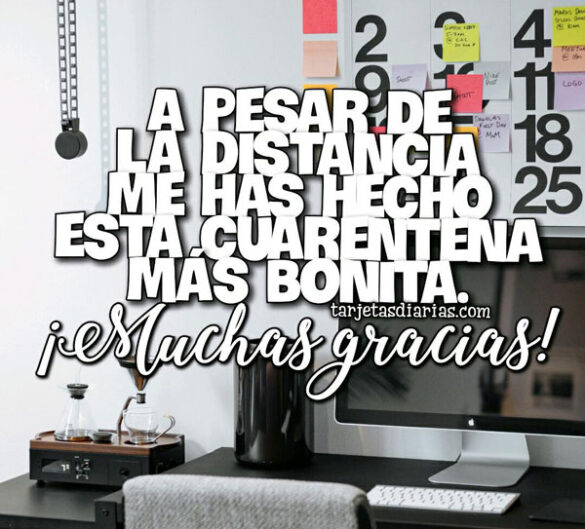 A PESAR DE LA DISTANCIA ME HAS HECHO ESTA CUARENTENA MÁS BONITA ¡MUCHAS GRACIAS!