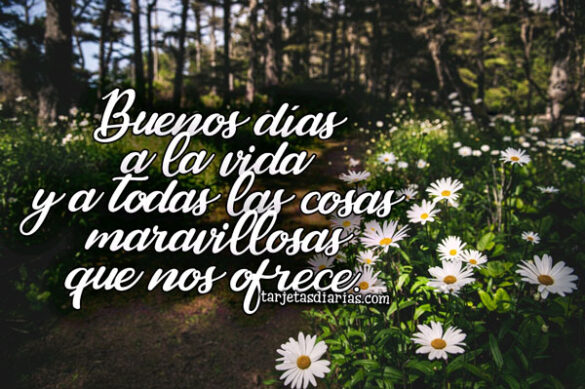 BUENOS DÍAS A LA VIDA Y A TODAS LAS COSAS MARAVILLOSAS QUE NOS OFRECE