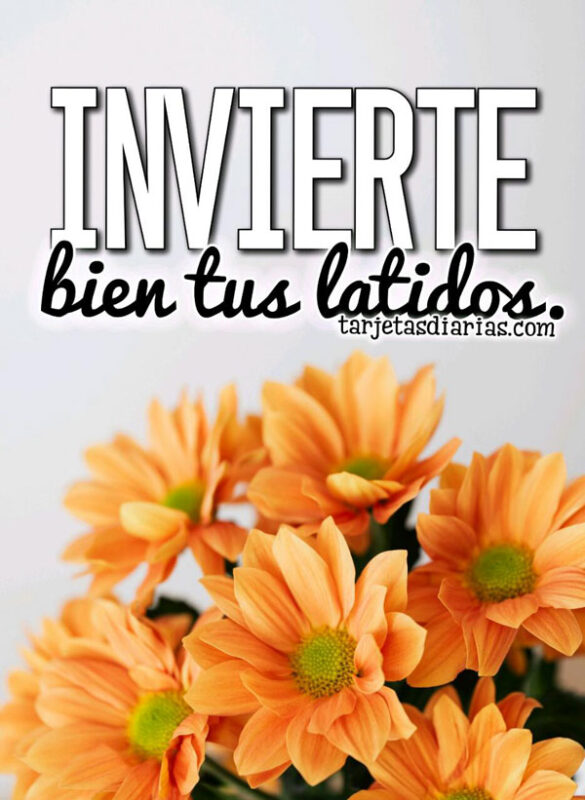 INVIERTE BIEN TUS LATIDOS