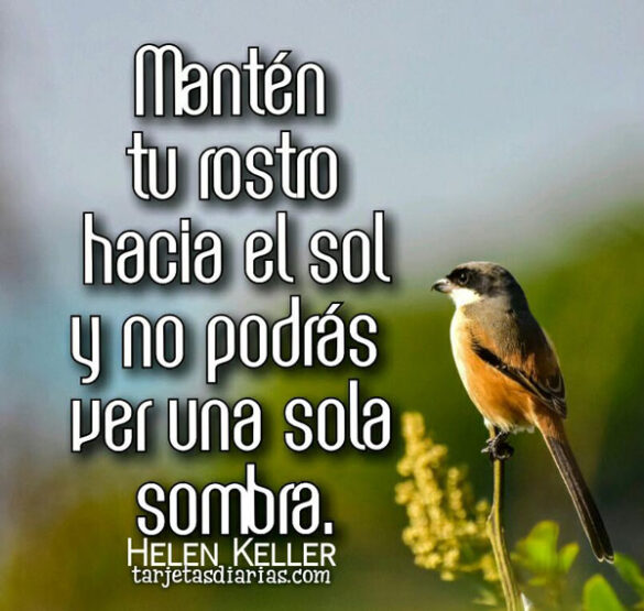 MANTÉN TU ROSTRO HACIA EL SOL Y NO PODRÁS VER UNA SOLA SOMBRA