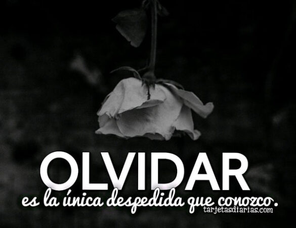 OLVIDAR ES LA ÚNICA DESPEDIDA QUE CONOZCO