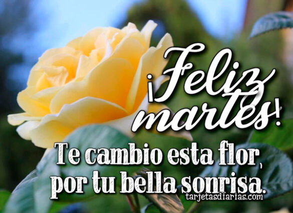 TE CAMBIO ESTA FLOR POR TU BELLA SONRISA ¡FELIZ MARTES!