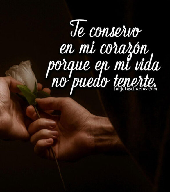 TE CONSERVO EN MI CORAZÓN PORQUE EN MI VIDA NO PUEDO TENERTE