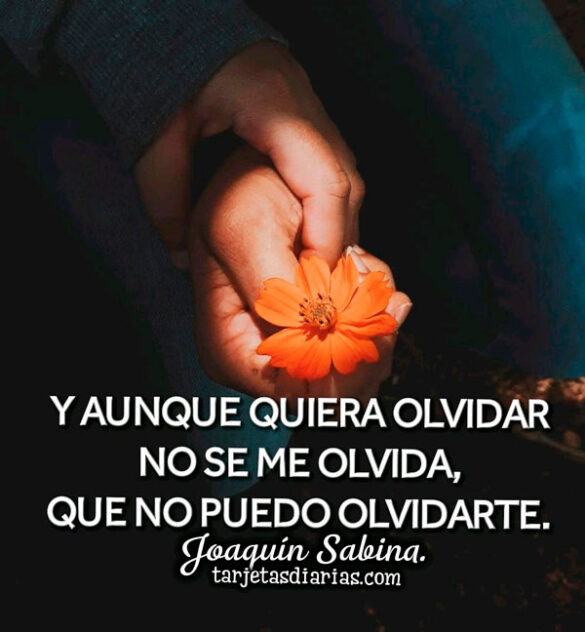 Y AUNQUE QUIERA OLVIDAR NO SE ME OLVIDA, QUE NO PUEDO OLVIDARTE