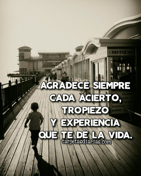 AGRADECE SIEMPRE CADA ACIERTO, TROPIEZO Y EXPERIENCIA QUE TE DÉ LA VIDA