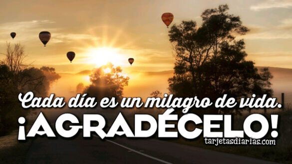 CADA DÍA ES UN MILAGRO DE VIDA ¡AGRADÉCELO!