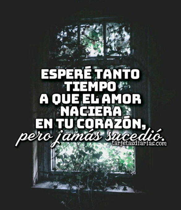 ESPERÉ TANTO TIEMPO A QUE EL AMOR NACIERA EN TU CORAZÓN, PERO JAMÁS SUCEDIÓ