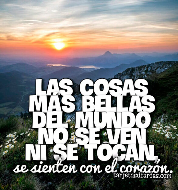 LAS COSAS MÁS BELLAS DEL MUNDO NO SE VEN NI SE TOCAN, SE SIENTEN CON EL CORAZÓN