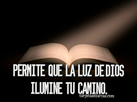 PERMITE QUE LA LUZ DE DIOS ILUMINE TU CAMINO