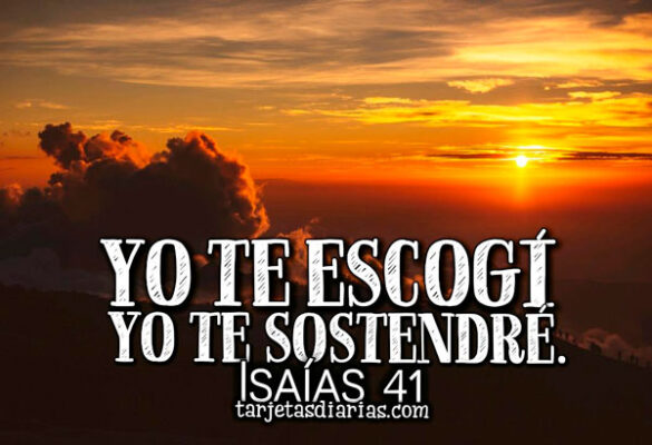 YO TE ESCOGÍ YO TE SOSTENDRÉ. ISAÍAS 41