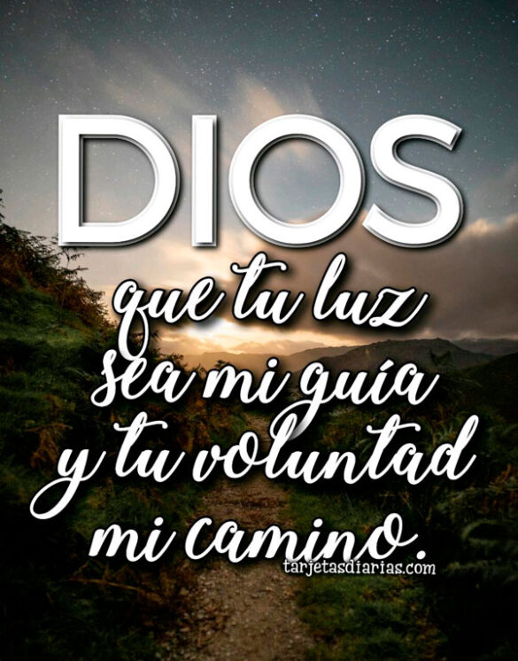 DIOS, QUE TU LUZ SEA MI GUÍA Y TU VOLUNTAD MI CAMINO