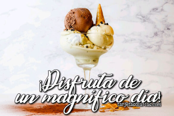 ¡DISFRUTA DE UN MAGNÍFICO DÍA!