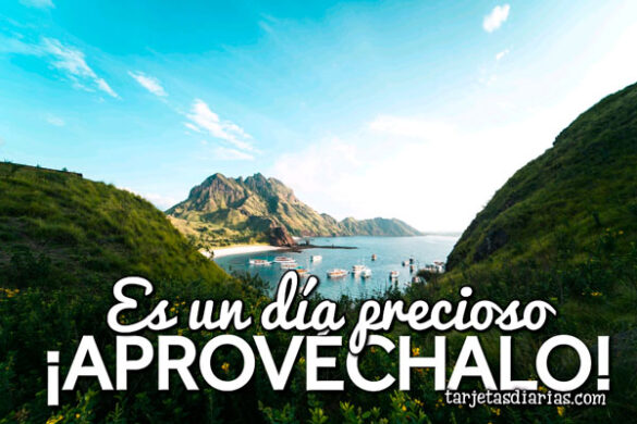 ES UN DÍA PRECIOSO ¡APROVÉCHALO!