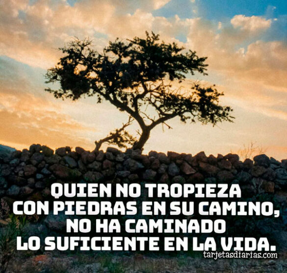QUIEN NO TROPIEZA CON PIEDRAS EN SU CAMINO, NO HA CAMINADO LO SUFICIENTE