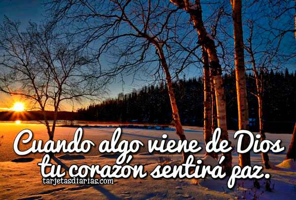 CUANDO ALGO VIENE DE DIOS TU CORAZÓN SENTIRÁ PAZ - Tarjetas Diarias