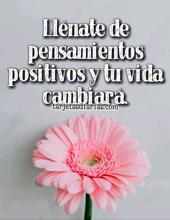 LLÉNATE DE PENSAMIENTOS POSITIVOS Y TU VIDA CAMBIARÁ