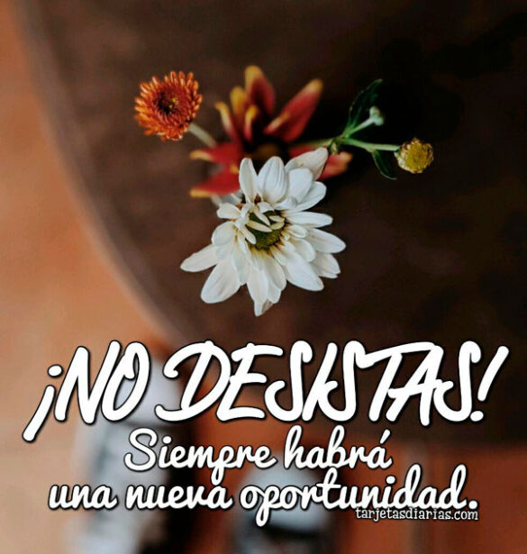 ¡NO DESISTAS! SIEMPRE HABRÁ UNA NUEVA OPORTUNIDAD