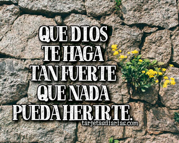 QUE DIOS TE HAGA TAN FUERTE QUE NADA PUEDA HERIRTE