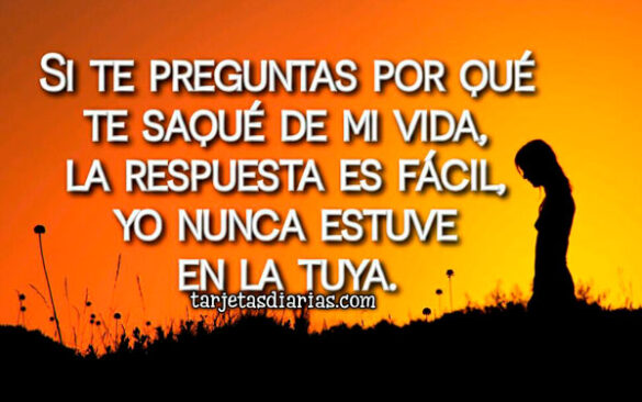 SI TE PREGUNTAS POR QUÉ TE SAQUÉ DE MI VIDA, LA RESPUESTA ES FÁCIL, YO NUNCA ESTUVE EN LA TUYA