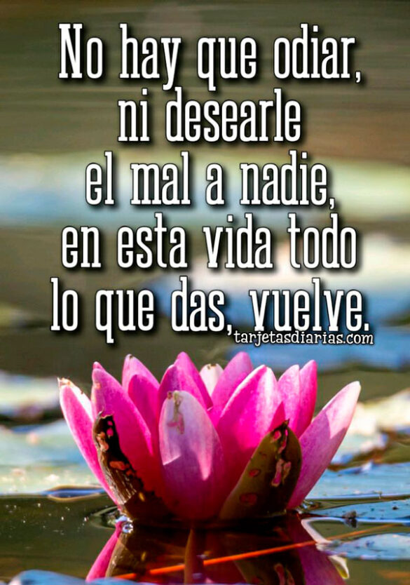NO HAY QUE ODIAR, NI DESEARLE EL MAL A NADIE, EN ESTA VIDA TODO LO QUE DAS, VUELVE