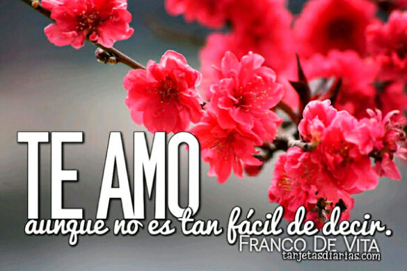 TE AMO, AUNQUE NO ES TAN FÁCIL DE DECIR