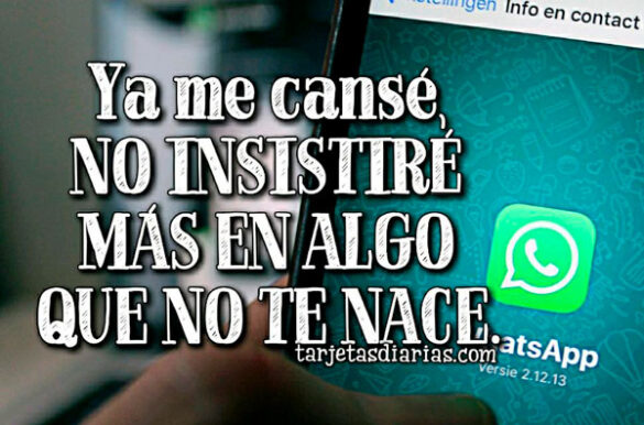 YA ME CANSÉ, NO INSISTIRÉ MÁS EN ALGO QUE NO TE NACE