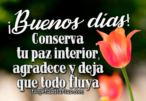 ¡BUENOS DÍAS! CONSERVA TU PAZ INTERIOR, AGRADECE Y DEJA QUE TODO FLUYA