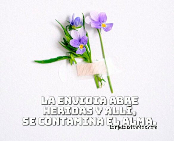 LA ENVIDIA ABRE HERIDAS Y ALLÍ, SE CONTAMINA EL ALMA
