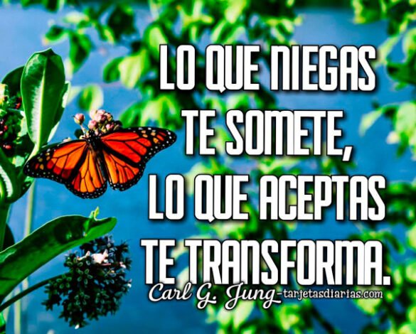 LO QUE NIEGAS TE SOMETE LO QUE ACEPTAS TE TRANSFORMA