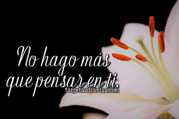 NO HAGO MÁS QUE PENSAR EN TI