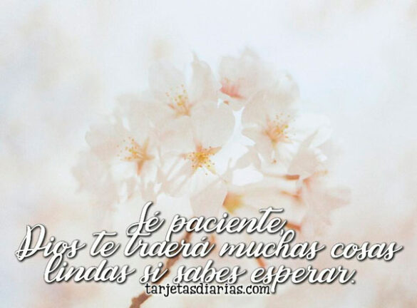 SÉ PACIENTE, DIOS TE TRAERÁ MUCHAS COSAS LINDAS SI SABES ESPERAR