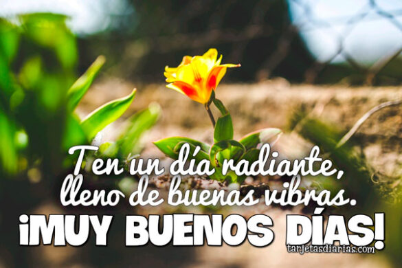 TEN UN DÍA RADIANTE, LLENO DE BUENAS VIBRAS ¡MUY BUENOS DÍAS!